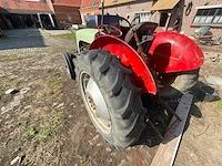 1954 massey ferguson tef 20 petit gris antieke tractor - afbeelding 16 van  22