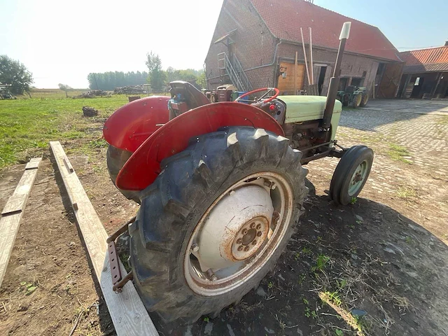 1954 massey ferguson tef 20 petit gris antieke tractor - afbeelding 18 van  22