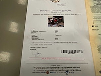 1957 magnat debon - oldtimer bromfiets - afbeelding 6 van  9