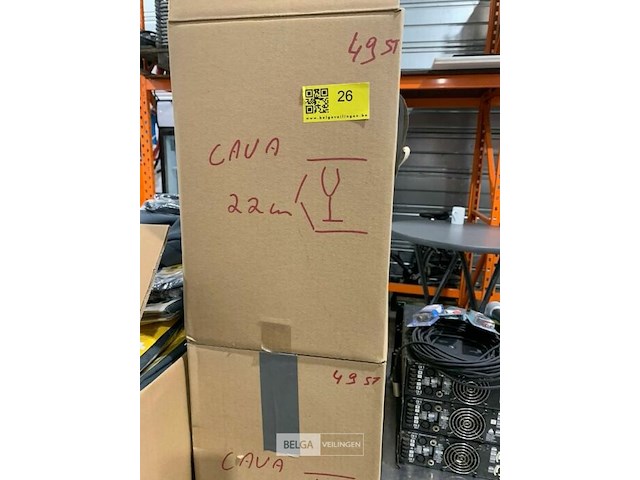 196 cavaglazen, 22 cm - afbeelding 3 van  3