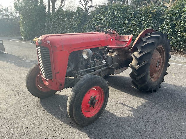 1965 massey ferguson 35 oldtimer tractor - afbeelding 1 van  19