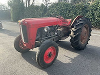1965 massey ferguson 35 oldtimer tractor - afbeelding 1 van  19