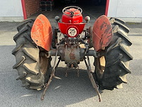 1965 massey ferguson 35 oldtimer tractor - afbeelding 14 van  19