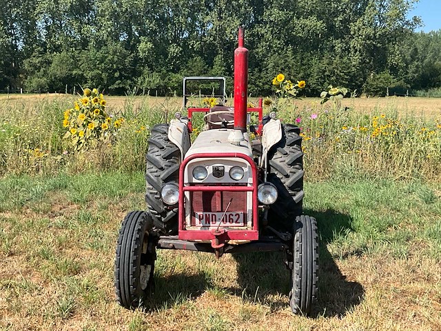 1969 david brown selectamatic 780 oldtimer tractor - afbeelding 35 van  37