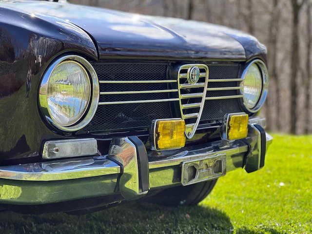 1975 alfa giulia super ancestors - afbeelding 18 van  23