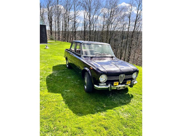 1975 alfa giulia super ancestors - afbeelding 22 van  23