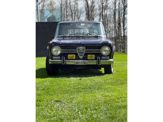 1975 alfa giulia super ancestors - afbeelding 20 van  23