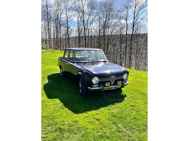 1975 alfa giulia super ancestors - afbeelding 8 van  8