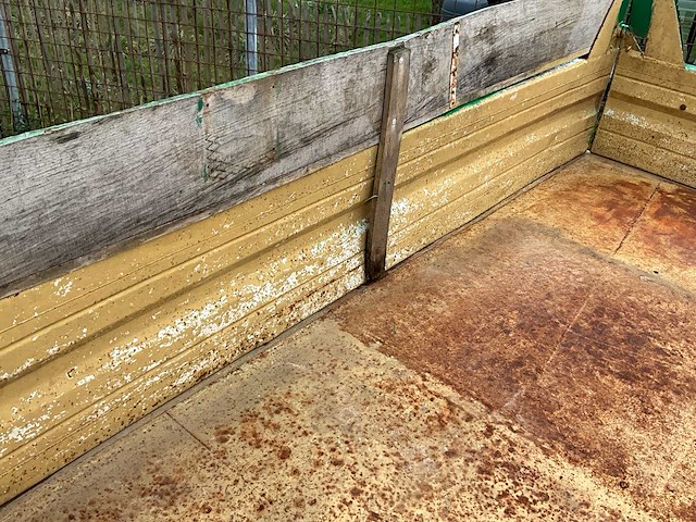 1975 kipper - afbeelding 17 van  25