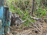 1980 international 845 + voorlader + accessoires - afbeelding 59 van  82