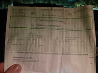 1980 international 845 + voorlader + accessoires - afbeelding 77 van  82