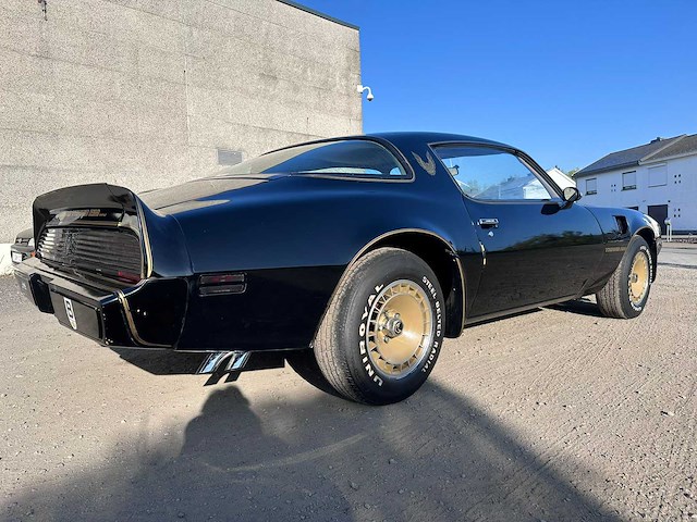 1981 pontiac transam turbo - afbeelding 2 van  49