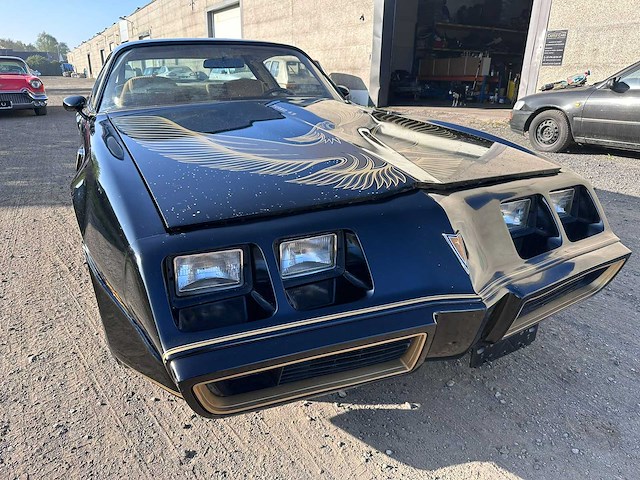 1981 pontiac transam turbo - afbeelding 8 van  49