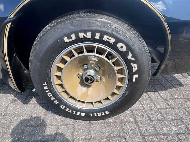 1981 pontiac transam turbo - afbeelding 16 van  49