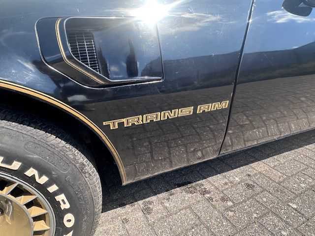 1981 pontiac transam turbo - afbeelding 17 van  49