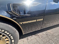 1981 pontiac transam turbo - afbeelding 17 van  49