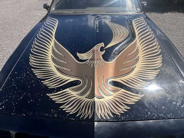 1981 pontiac transam turbo - afbeelding 18 van  49