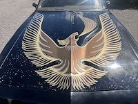 1981 pontiac transam turbo - afbeelding 18 van  49