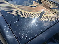 1981 pontiac transam turbo - afbeelding 26 van  49