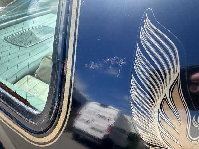 1981 pontiac transam turbo - afbeelding 29 van  49