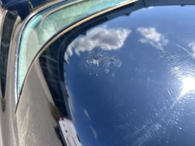 1981 pontiac transam turbo - afbeelding 30 van  49