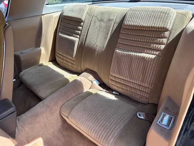 1981 pontiac transam turbo - afbeelding 32 van  49