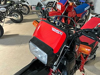 1984 honda mtx 125r motorfiets - afbeelding 6 van  10