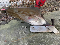 1989 steeno 30l plough 4 ploughshares - afbeelding 7 van  8