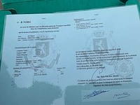 1990 lasco leopoldkruiser evy-max – 11,92 m – daf diesel – bijna volledig gerestaureerd leopoldkruiser motorjacht - afbeelding 30 van  38