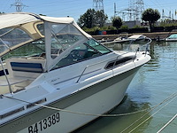 1990 sea ray 250 da sundancer - dubbele mercruiser 4.3l - belgische registratie - afbeelding 4 van  63