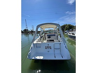 1990 sea ray 250 da sundancer - dubbele mercruiser 4.3l - belgische registratie - afbeelding 15 van  63