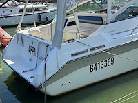 1990 sea ray 250 da sundancer - dubbele mercruiser 4.3l - belgische registratie - afbeelding 16 van  63