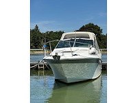 1990 sea ray 250 da sundancer - dubbele mercruiser 4.3l - belgische registratie - afbeelding 55 van  63