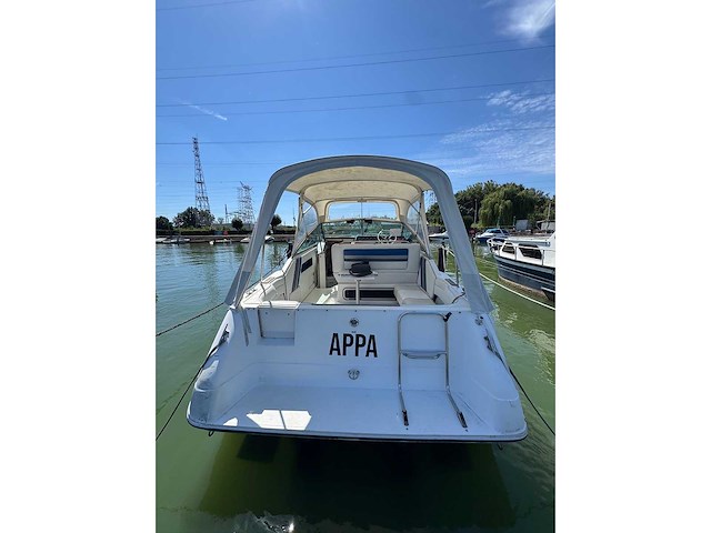 1990 sea ray 250 da sundancer - dubbele mercruiser 4.3l - belgische registratie - afbeelding 51 van  66