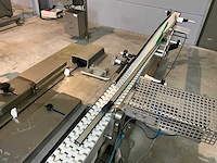 1992 record panda 2000 flowpack verpakkingsmachine - afbeelding 9 van  24