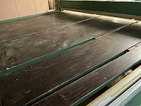 1995 langzauner lz 4/1 e-3950 platenzaagmachine - afbeelding 4 van  16