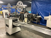 1997 tevopharm vs-pack 200-s verpakkingsmachines - afbeelding 13 van  18