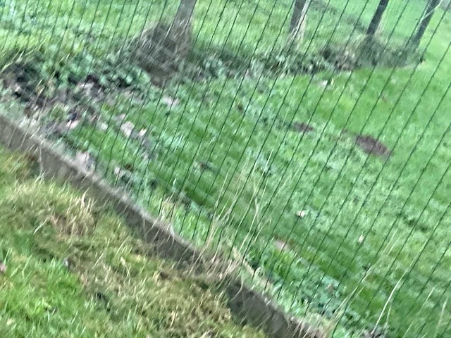 1999 deckx t2000 aanhangwagen - afbeelding 2 van  28