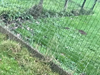 1999 deckx t2000 aanhangwagen - afbeelding 2 van  28