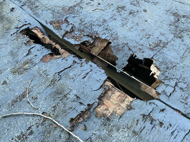 1999 hapert al2700 - afbeelding 10 van  11