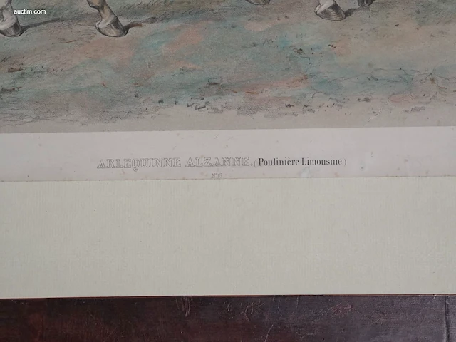 19e-eeuwse ingekleurde lithografie "arlequinne... - afbeelding 2 van  3