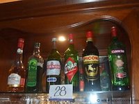 19x aangebroken flessen diverse dranken, waaronder likeuren, vermouth, gin, whisky, rum, pastis en port