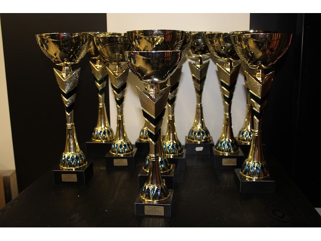 1trofee - afbeelding 1 van  2