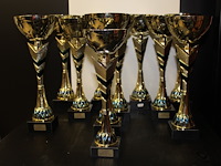 1trofee - afbeelding 1 van  2