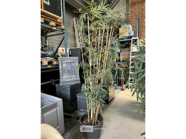 1x bamboe kunstplant b180 cm - afbeelding 1 van  3