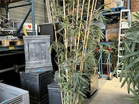 1x bamboe kunstplant b180 cm - afbeelding 1 van  3