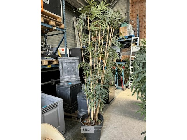 1x bamboe kunstplant b180 cm - afbeelding 2 van  3