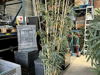 1x bamboe kunstplant b180 cm - afbeelding 2 van  3