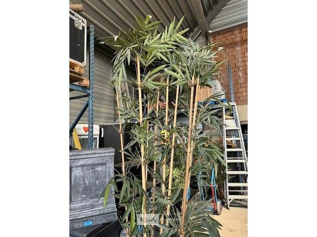 1x bamboe kunstplant b180 cm - afbeelding 3 van  3