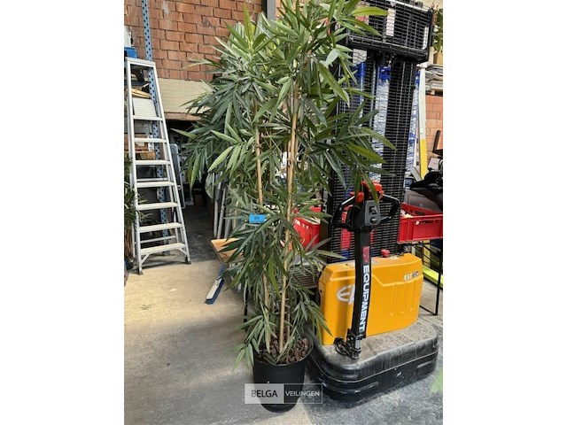 1x bamboe kunstplant b280 cm - afbeelding 1 van  1